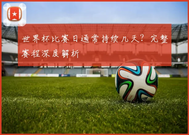 世界杯比赛日通常持续几天？完整赛程深度解析