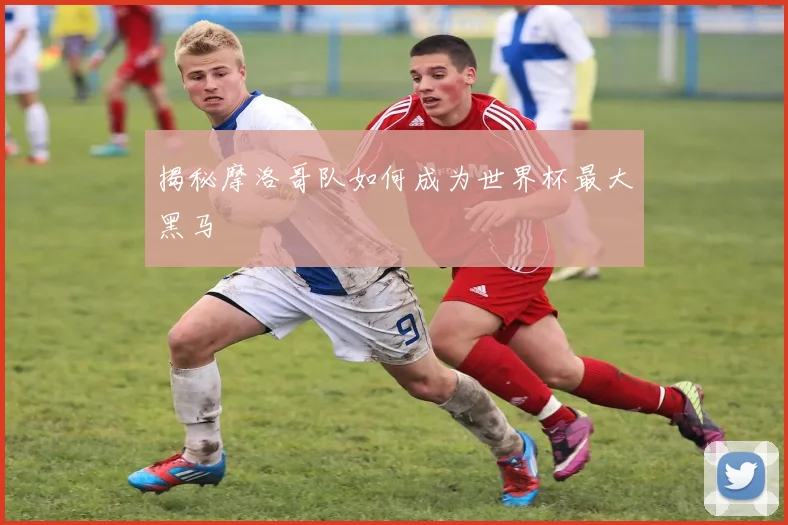 揭秘摩洛哥队如何成为世界杯最大黑马
