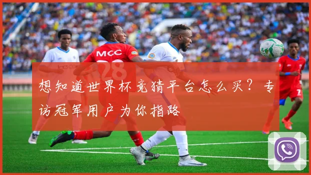 想知道世界杯竞猜平台怎么买？专访冠军用户为你指路