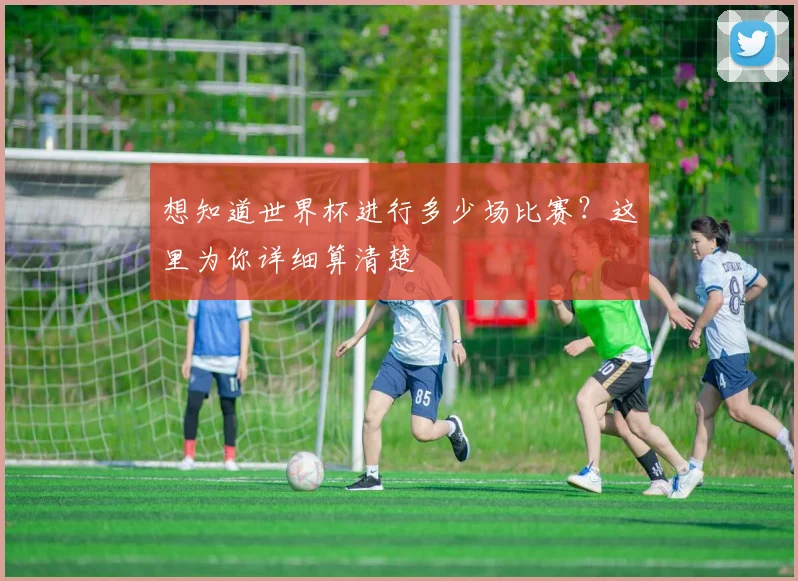 想知道世界杯进行多少场比赛？这里为你详细算清楚