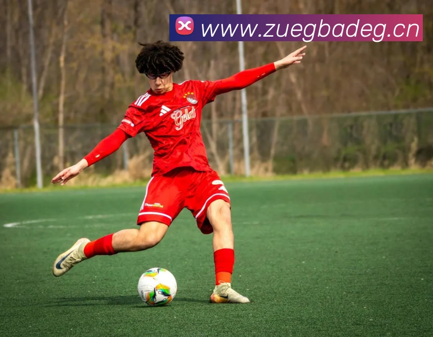 爱游戏体育 最新官网APP 封面图